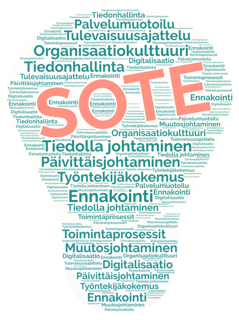 Sote-digitalisaatio Sote-tiedonhallinta Sote-toimintaprosessien kehittäminen Sote-muutosjohtaminen Sote-ennakointi ja tulevaisuusajattelu Sote-työntekijäkokemuksen johtaminen ja kehittäminen Sote-päivittäisjohtamisen kehittäminen Sote-tiedolla johtaminen Sote-palvelumuotoilu Sote-organisaatiokulttuurin rakentaminen